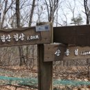 상동림 이미지
