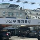 양산돼지국밥 | 부산 국밥투어 1탄🐷 양산왕돼지국밥 솔직후기! 국밥러버들 모여라💛
