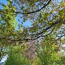 서석면생활체육공원 이미지