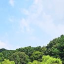 초막골 생태공원 이미지