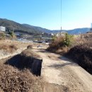 금호마을회관 이미지