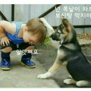 멍멍멍 이미지