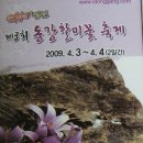 동강할미꽃축제(2009년4월3일~4일(2일간) 강원도정선군귤암리 이미지