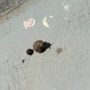 형아농장 이미지