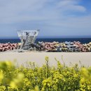 사근진해변 해중공원 이미지