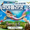 아쿠아 이미지
