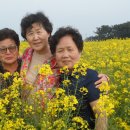 신기목장 이미지