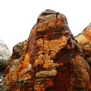 1872 핀 | 미 국립공원 캠핑여행 12. 유타 주 여행 Capitol Reef 국립공원 Grand Wash 돌아보기