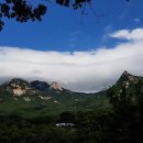 8월 2일(토) 역사문화답사 75 - 말머리고개, 임도, 장흥계곡, 권율장군 묘 이미지