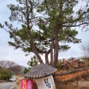 빌라 드 웨이브 이미지