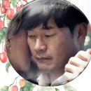보리수 이미지