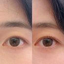 노앤하람인테리어 | [방학역 429왁싱앤래쉬펌] 자연스러운 노글루 펌 속눈썹펌 만족 후기
