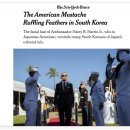[외신원문] The American Mustache Ruffling Feathers in South Korea - 뉴욕타임즈 이미지