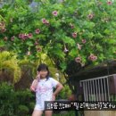 팜아씨