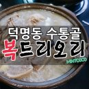 복드리오리 이미지
