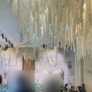 엠에이치(MH) | 결혼준비 💍1)웨딩베뉴 정하기 /대구 홀투어 엠스타하우스 MH컨벤션 견적 후기