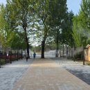 별빛야영장 이미지