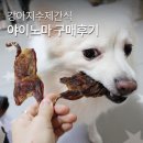 야이노마 이미지