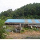 충주온천 이미지