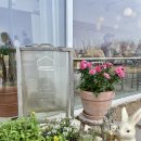 이숲 | 천안 카페 이숲 방문 후기, 벚꽃시즌/평일방문/조용한 힐링카페