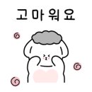 구오팔팔