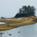 군산연안여객터미널 이미지