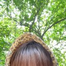 새모범약국 | day 3 (방콕 사파리 월드 호랑이 먹이 주기 / 카룬 밀크티 / 시암 네일샵 / 엠지 토스트 맛집 반탓텅 후기)