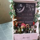 그날, 꽃피는 청춘 이미지