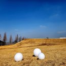 행정사신정호사무소 이미지