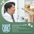 진리 동물병원 이미지