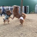 삼송팜