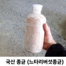 한농종묘사 이미지