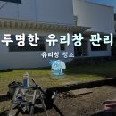 경남종합상가 | [공지] 양산 단독주택형 전시매장 유리창청소 후기 │ 물금·웅상 전지역 종합청소 전문 클린오아시스