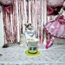 끄레므멍 이미지