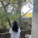 서쪽스테이 이미지