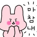 더원네트웍스 이미지