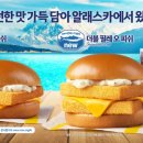 미디어피쉬 이미지