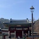 명품소나무길 | 남한산성 둘레길 등산코스 추천 후기 (주차 꿀팁)