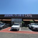 애니멀클럽 이미지