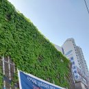 인덕원 삼성아파트 버스정류장 이미지