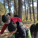 붉은오름자연휴양림1 이미지