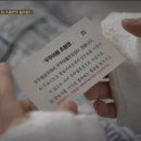 봉블리 이미지