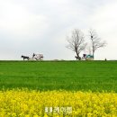 초록밭 이미지