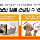 케이K병원 이미지