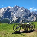 그곳에 비엘로 이미지