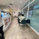 블루샥팔레드시즈점