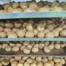 뷰티커넥터 이미지