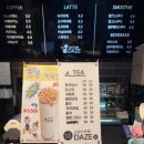 커피타는 고양이 | [대전/중구] 은행동 놀거리 성심당 근처 고양이 천국 후기 &lt;데이즈&gt;
