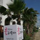 강정2442 꽃피우다 | [서귀포 펜션 추천] 제주도 '강정2442꽃피우다' 건강에 좋은 펜션♬