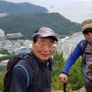 육각도(영도) 네이버블로그